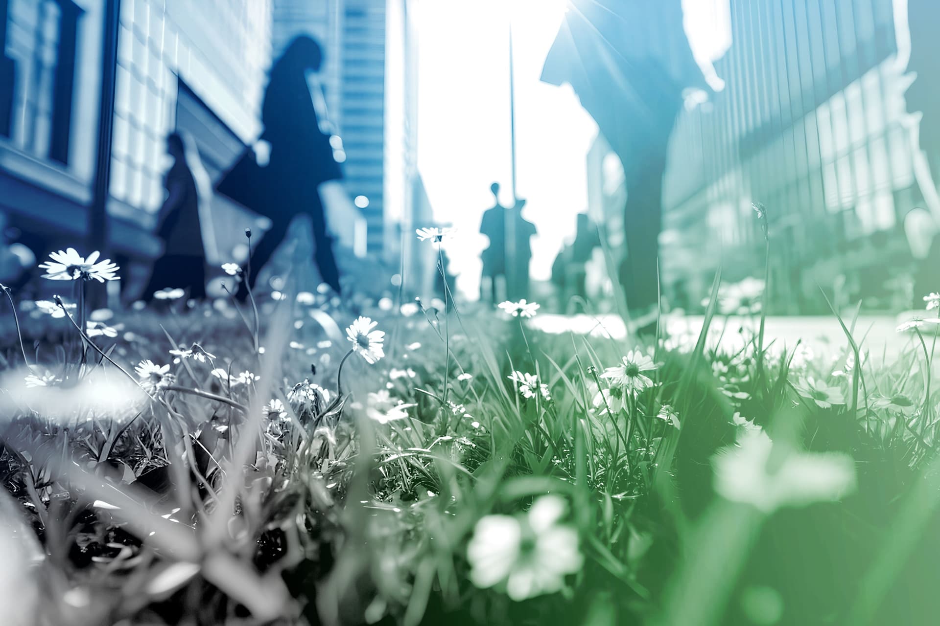 Städtische Umgebung mit Fokus auf Wildblumen im Vordergrund, unscharfe Passanten im Hintergrund, symbolisiert nachhaltige Entwicklung.